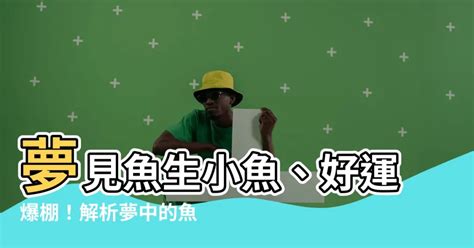 魚代表數字|夢見魚